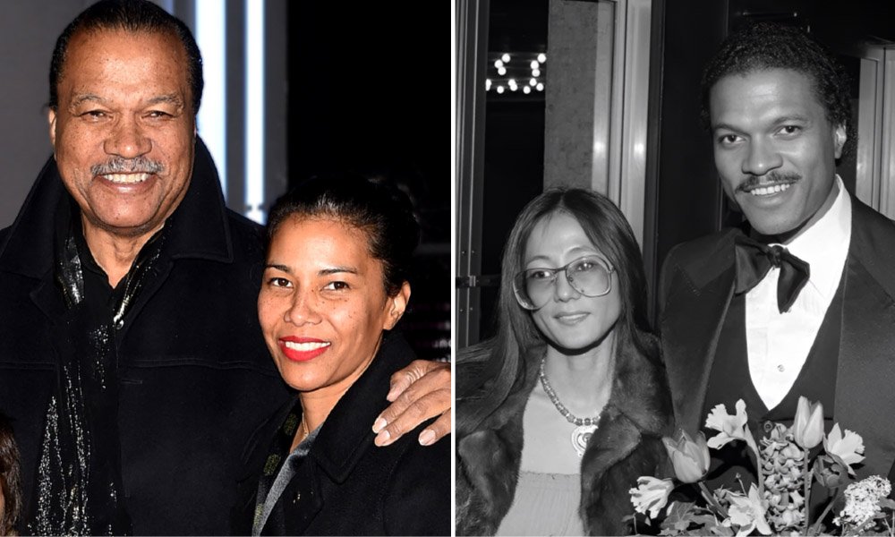 Teruko Nakagami: Where Is Billy Dee Williams’ Wife Today?